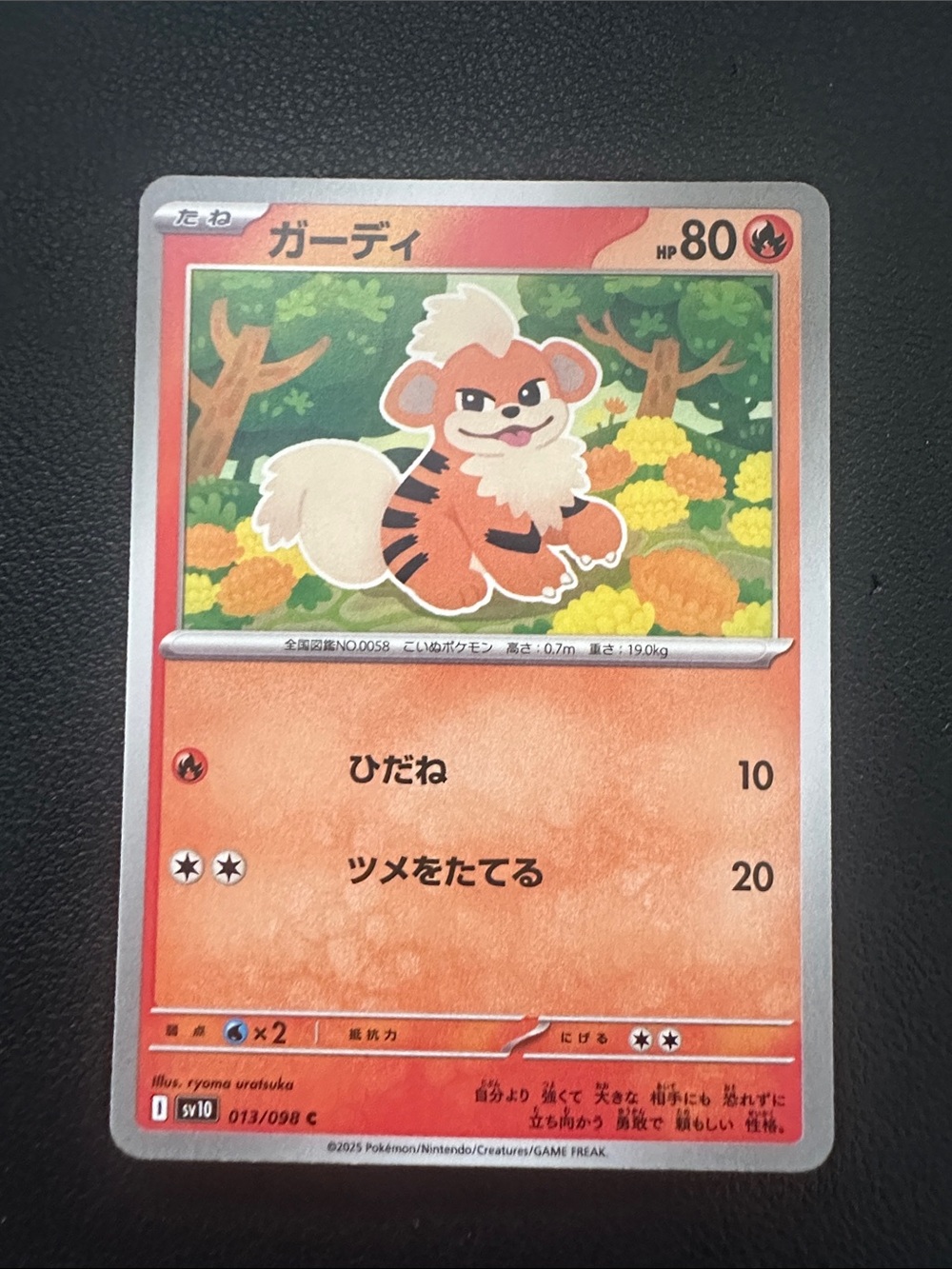Growlithe Collectible Card - Orange